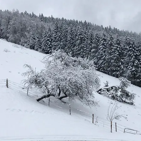 La Guillemette